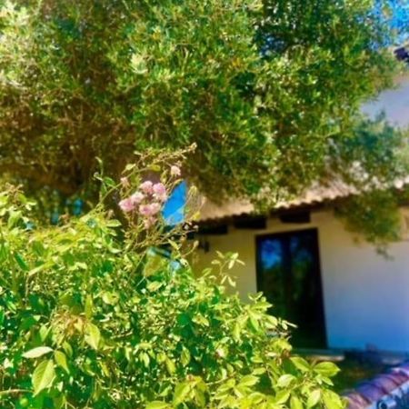Camera Villa Sarda Aurora Elmas Exterior foto
